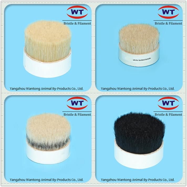 Chungking Natural Grey Pure Boiled Bristles for Brushes