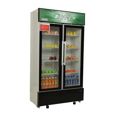 Chinese Manufacturer Commercial Big Capacity Frost Free Vertical Display Cabinet Upright Showcase