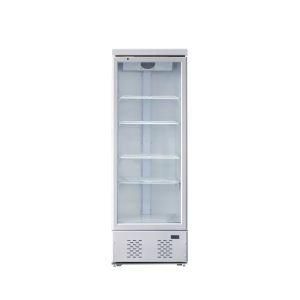 New Style 480L Capacity Popular Freezer Upright Showcase