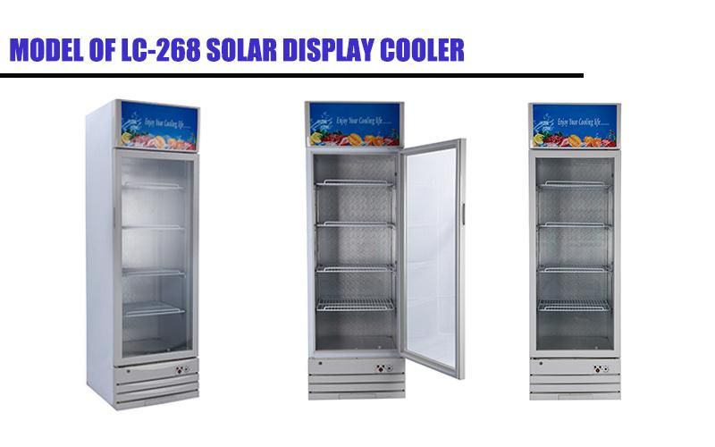 12V/24V DC 9.5 Cu. FT Glass-Fronted Billboard Ice Drinks Solar Showcase