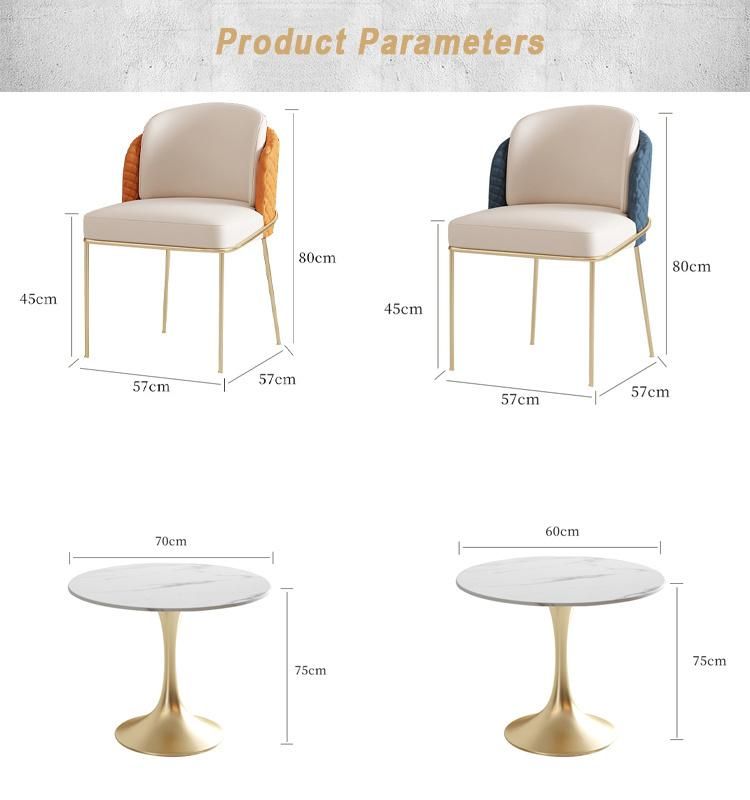 Nordic Dining Modern Minimalist Home Iron Golden Plated Chair Ins Light Luxury Chair Leather Lounge Chair