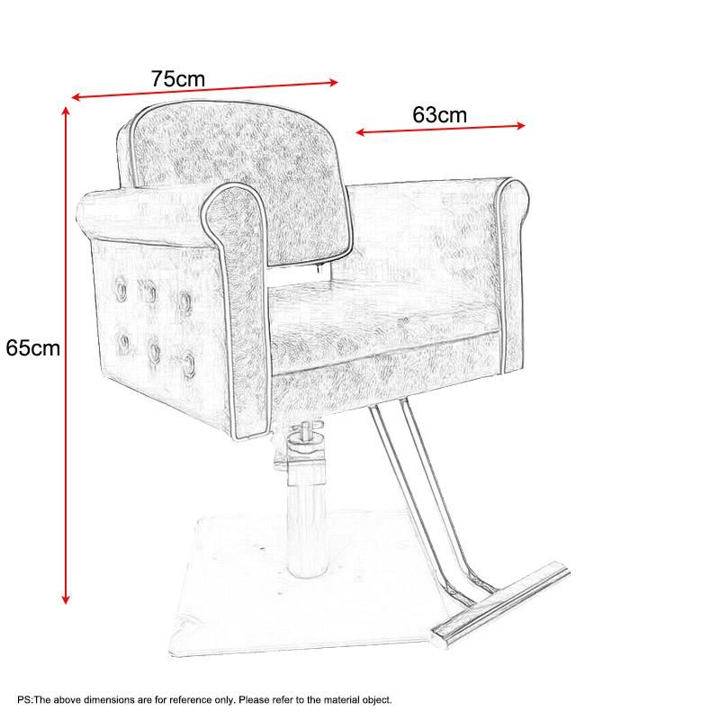 Hl-7030A Salon Barber Chair for Man or Woman with Stainless Steel Armrest and Aluminum Pedal