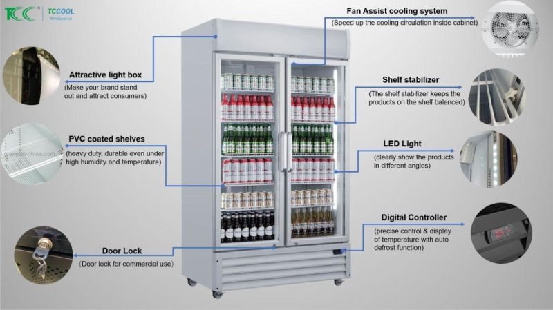 Curve Handle Commercial Refrigerated Vertical Glass 2-Door Upright Showcase Cooler