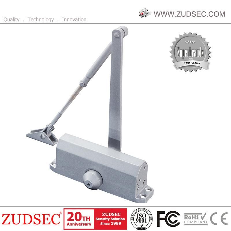 Hot Sale Hydraulic Invisible Guide Rail Circular Concealed Door Closer for Wood Door