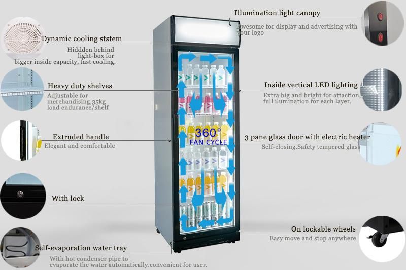 Hot Sale Restaurant Upright Showcase Cooler Cabinet for Fruit and Vegetable 388 Liters Single Door Upright Showcase, Upright Cooler, Glass Door Low Noise Fridge