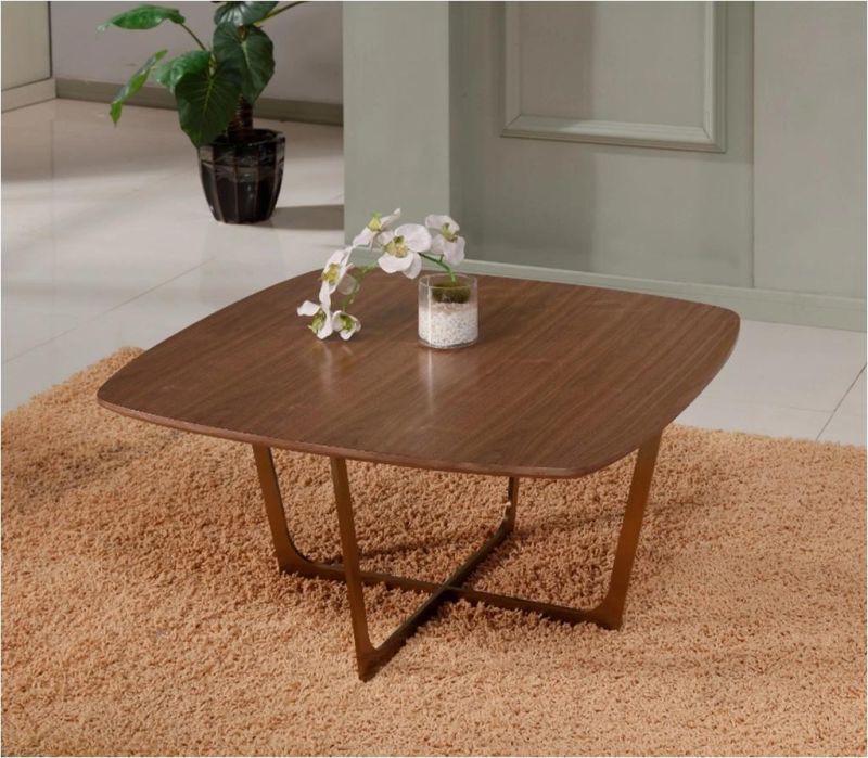 Modern Living Room Bedside Coffee Table with Stainless Steel Frame & Veneer Top