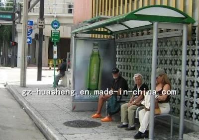 Hot Sale Metal Bus Stop Shelter in High Quality (HS-BS-D042)