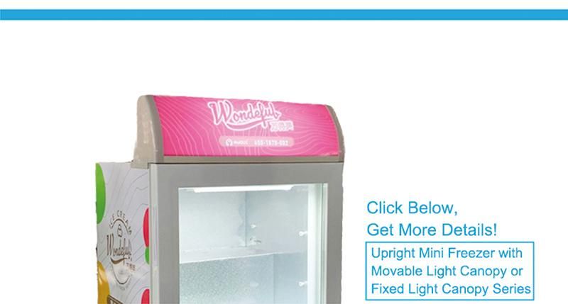 Hotel 55L Upright Display Freezer Ice Cream Showcase (SD-55)