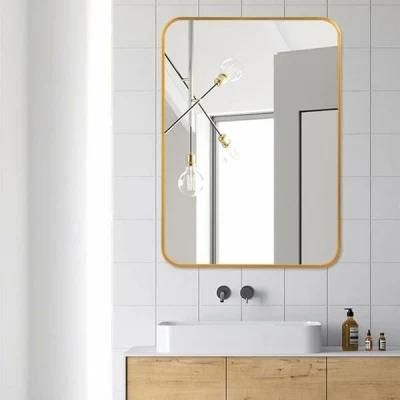 Wall Mounted Rectangle Bath Mirror Metal Aluminum Alloy PS Framed Floor Mirror Dressing Mirror