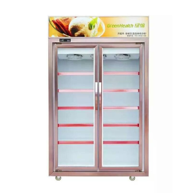 Frost Free Vertical Display Showcase Double Glass Door Freezer