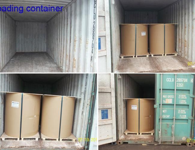 Hot rolled many size alloy 8011 aluminum coil for ropp capsule