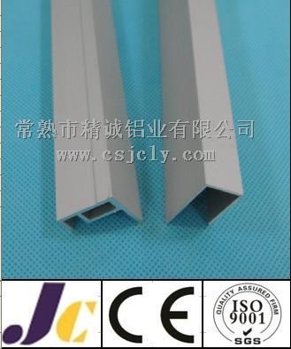 Professional Extrusion Profile with Silver Anodizing (JC-W-10020)