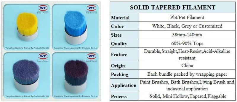 China Manufacturer of Solid Tapered Synthetic Monofilament