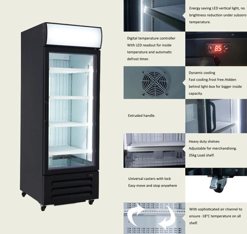 Commercial Transparent Single Glass Door Upright Display Freezer Showcase