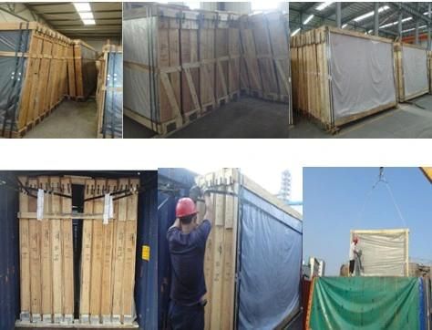 3300*2140 Size Tinted Float Glass for Building