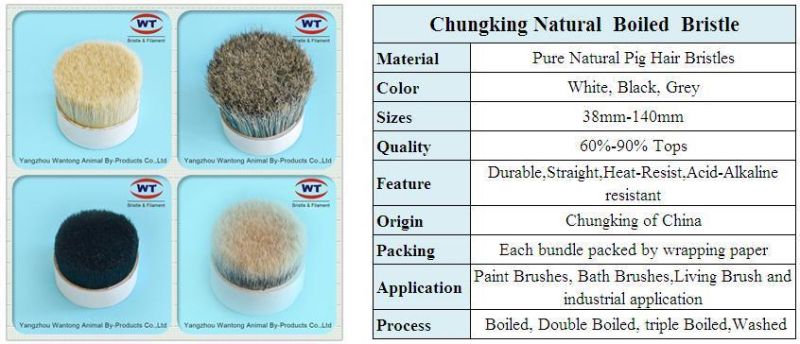 High Quality Chungking 60~90%Tops Natural White Boiled Bristle for Paint Brush