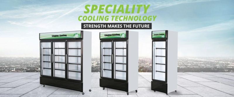 CE Approved Upright Double Glass Door Display Beverage Cooler Showcase