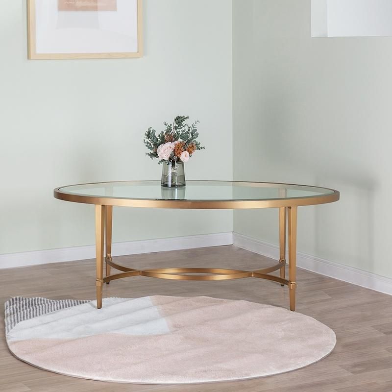 Elegant Stainless Glass Top Coffee Table / Center Table Design