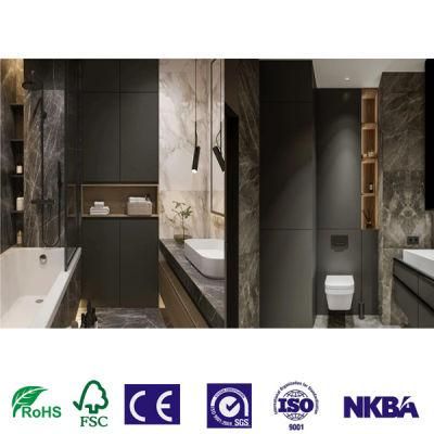 Experienced Manufacturer OEM Style Selections Bathroom Cabinet Vanities Furniture