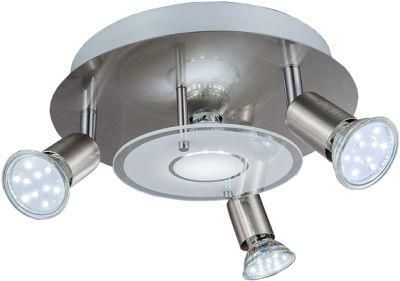 Swivel Design Brushed Nickel Frosted Glass LED Spot Ceiling Lamp