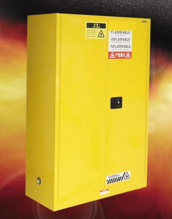 Full Steel Lab Explosion-Proof Cabinet Laboratory Double Gas Cylinder Cabinet