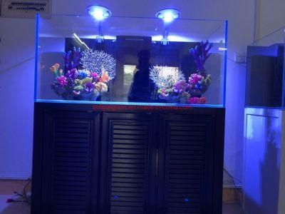 Ultra Clear Glass Reef Tank with Aluminum Cabinet