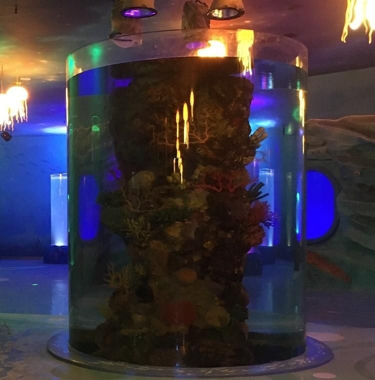 2020 Cylindrical Acrylic Aquarium Project