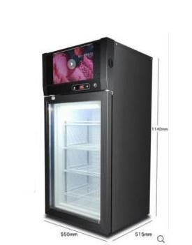 LCD Screen Customized Commercial Ice Cream Display Case/ Popsicle Display Freezer /Mini Display Cabinet