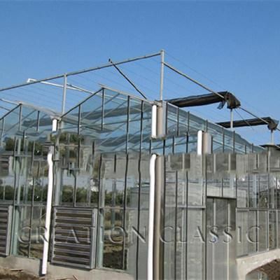 Tempered Clear/Ultra Clear Greenhouse Safety Glass