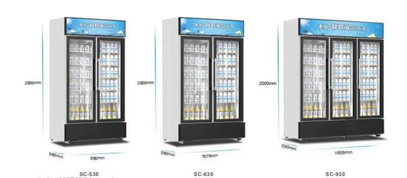 Factory Price Good Quality Supermarket Refrigerator Display Vertical Two Glass Door Upright Showcase