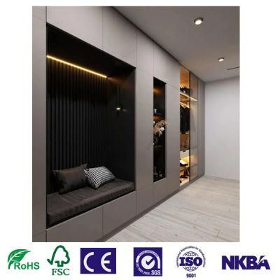 Modern Many Color Lacquer Closet Cabinets Bedroom Furniture Walk in Wardrobes Furniture