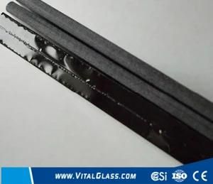 Black Flat Float Glass for Decoration Glass