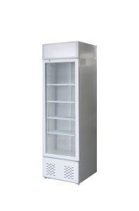 Custom Canopy Style Upright Freezer Frost Free Vertical Showcase