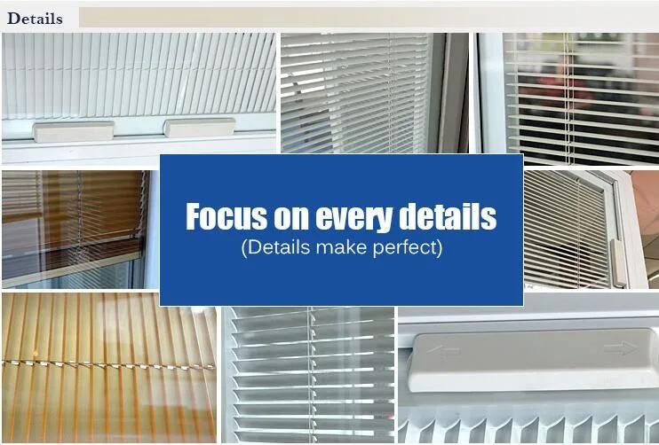 Double Glazed Magnetic Blinds