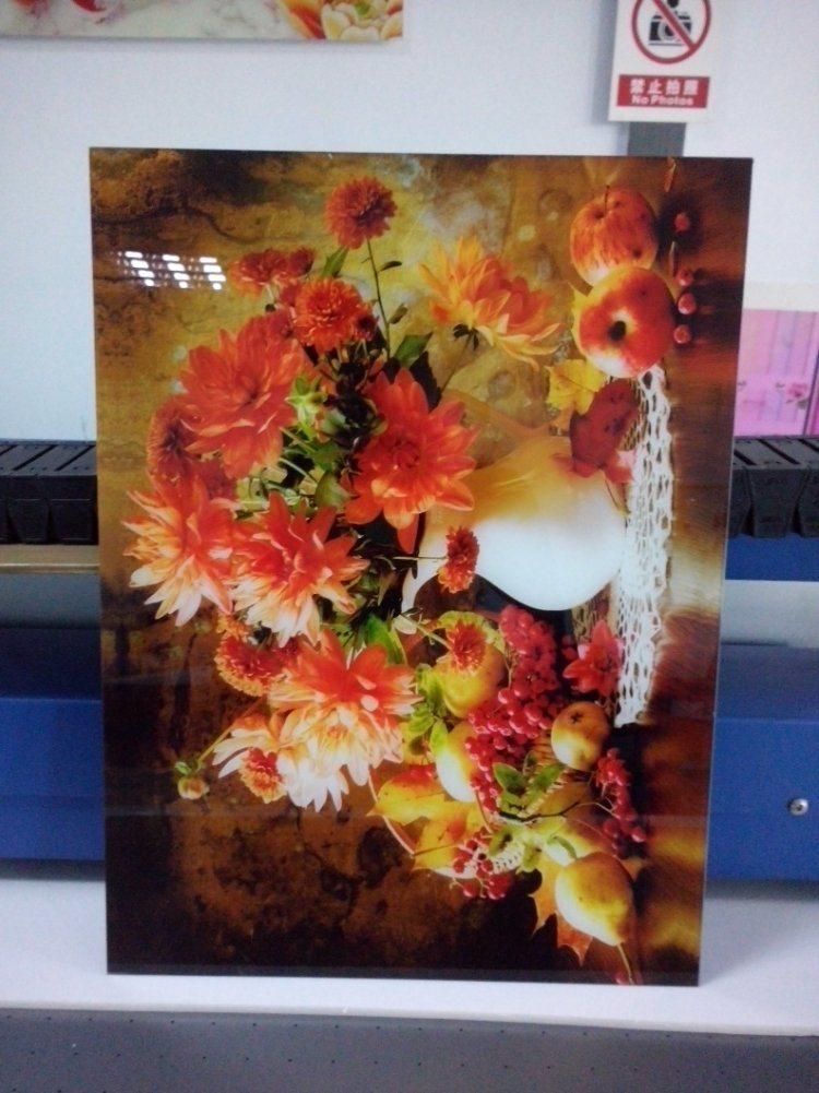 600*900mm Cheap UV Printer Glass Printing Machine