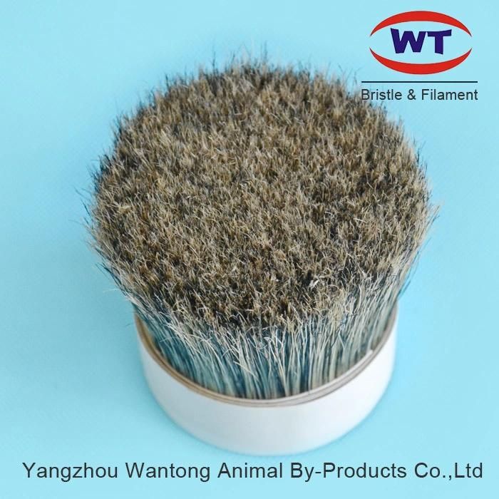 Chungking Natural Grey Hog Bristles