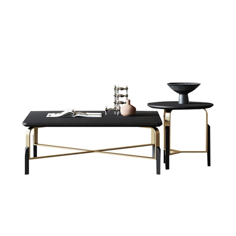 Modern 2 Combination Coffee Table with Gold Stainless Steel Legs