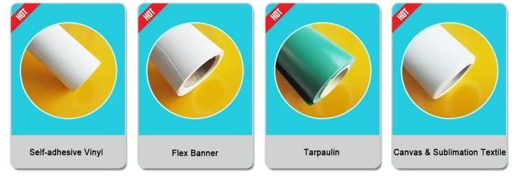 Sounda Self Adhesive Frosted Window Film for Home Glass Office Bathroom