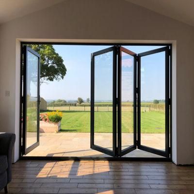 Modern Design of Aluminium-Framed Double Glazed Folding Doors with Screens