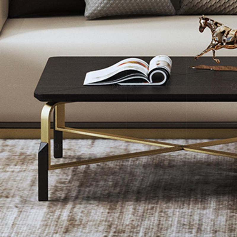 Modern 2 Combination Coffee Table with Gold Stainless Steel Legs