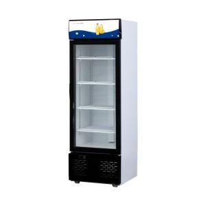 Hot Sale Big Capacity Vertical Beverage Freezer Upright Showcase