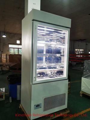 Fan Cooling Glass Swing Door Freezer Display Stainless Steel Cake Bakery Showcase Commercial Refrigerators Deep Freezer