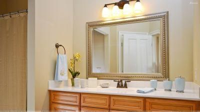Bathroom Mirror / Ornate Silver Mirror with Belgium Inv Examination En1036, SGS Test Report