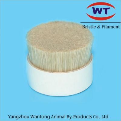 Chungking Natural Cut Root Boiled Bristles for Brushes