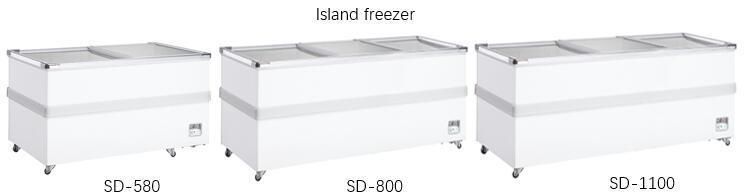 Supermarket Deep Cooling Kitchen Showcase Freezer with Slidng Glass Lid