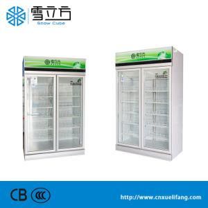 Double Glass Door Commercial Upright Showcase Freezer