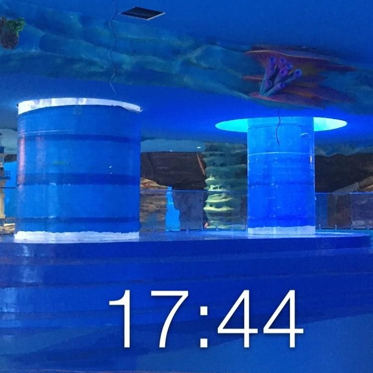 Cylindrical Acrylic Aquarium Tank Project