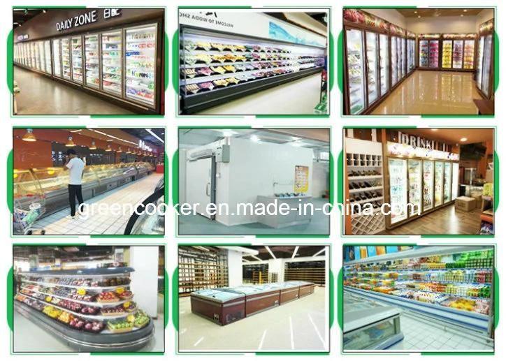 Supermarket Glass Door / Display / Chest / Icecream / Deep / Showcase / Upright Freezer