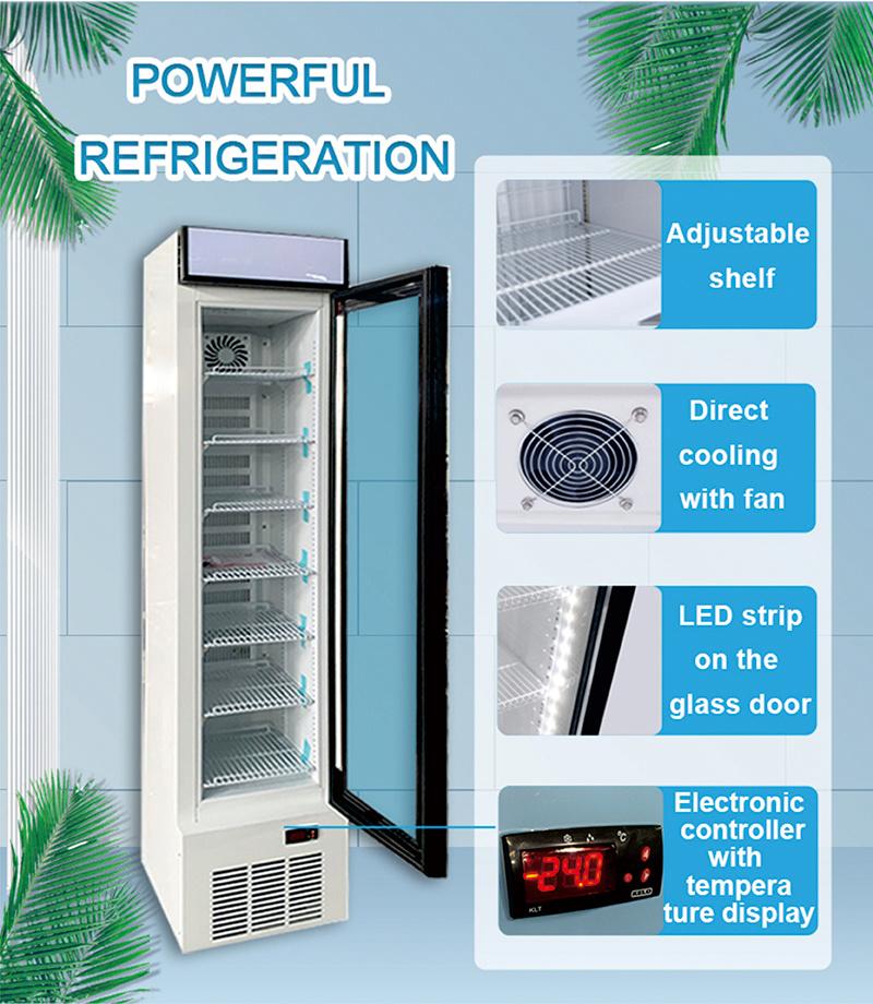268L Commercial Single Glass Door Ice Cream Showcase Lsd-268