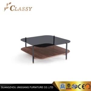 Square Smoked Tempered Glass Top Wooden Living Room Coffee Table
